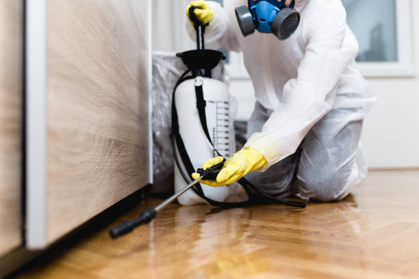 Best Residential Pest Control  in Herculaneum, MO