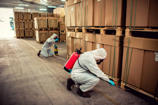 Best Affordable Pest Control Services  in Herculaneum, MO