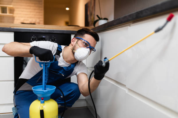 Best Pest Prevention Services  in Herculaneum, MO