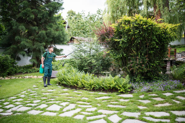 Best Affordable Pest Control Services  in Herculaneum, MO