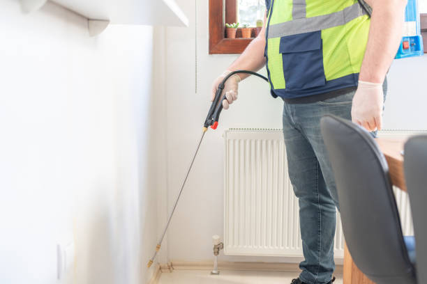 Best Mosquito Control Services  in Herculaneum, MO
