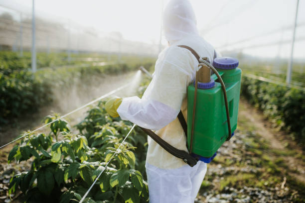Best Cockroach Control Services  in Herculaneum, MO